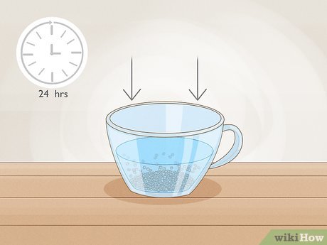 Image titled Grow a Chia Pet Step 4