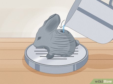 Image titled Grow a Chia Pet Step 5