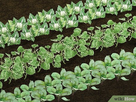 Image titled Live off the Grid Step 8