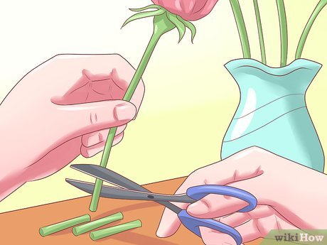 Image titled Make Roses Last Longer Step 8