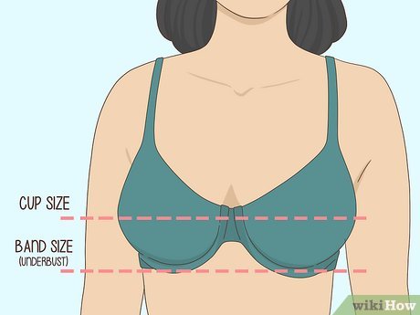 Image titled Measure Your Bra Size Step 3