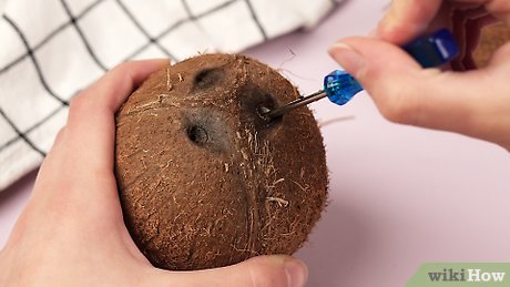 Image titled Open a Coconut Step 1