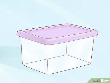 Image titled Raise Your Own Crickets Step 1