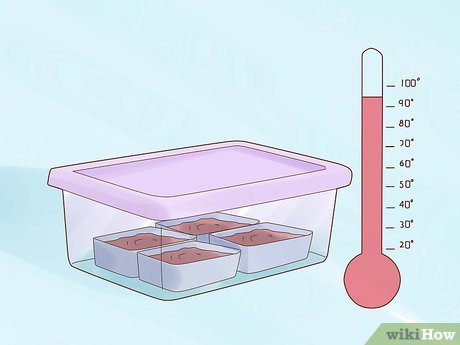 Image titled Raise Your Own Crickets Step 10