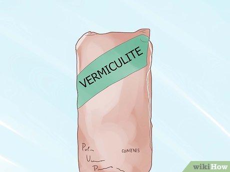 Image titled Raise Your Own Crickets Step 3