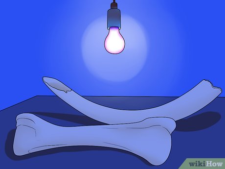 Image titled Tell Ivory from Bone Step 2