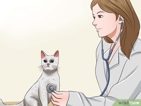 Image titled Train a Cat to Stop Doing Almost Anything Step 2