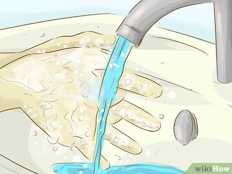 Image titled Use a Bidet Step 10