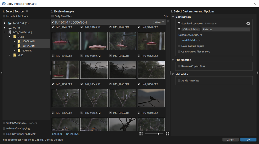 Import in Exposure X7