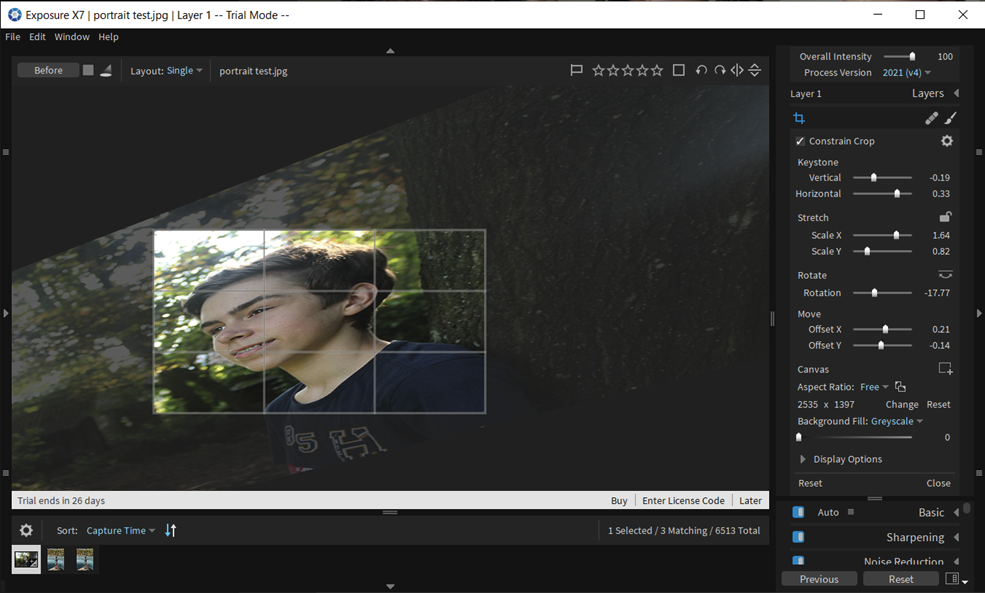 The Crop tool in Exposure X7