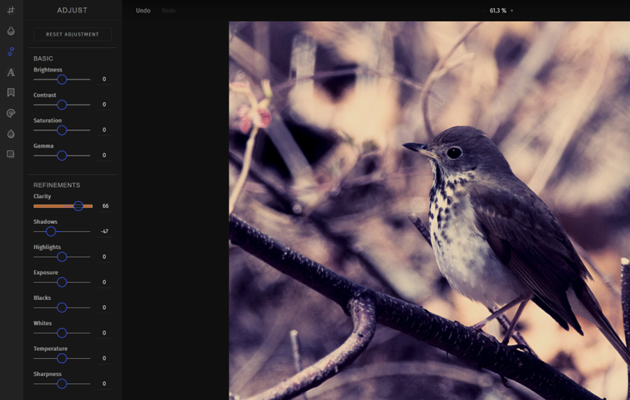 Image editing in RitzPix