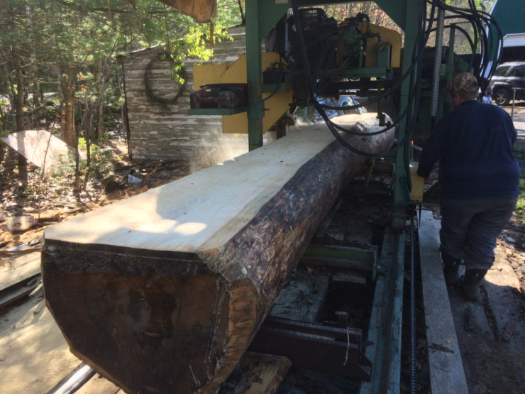 Gardner Waldeier pine log milling