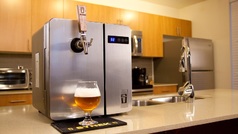 Synek Beer Dispenser