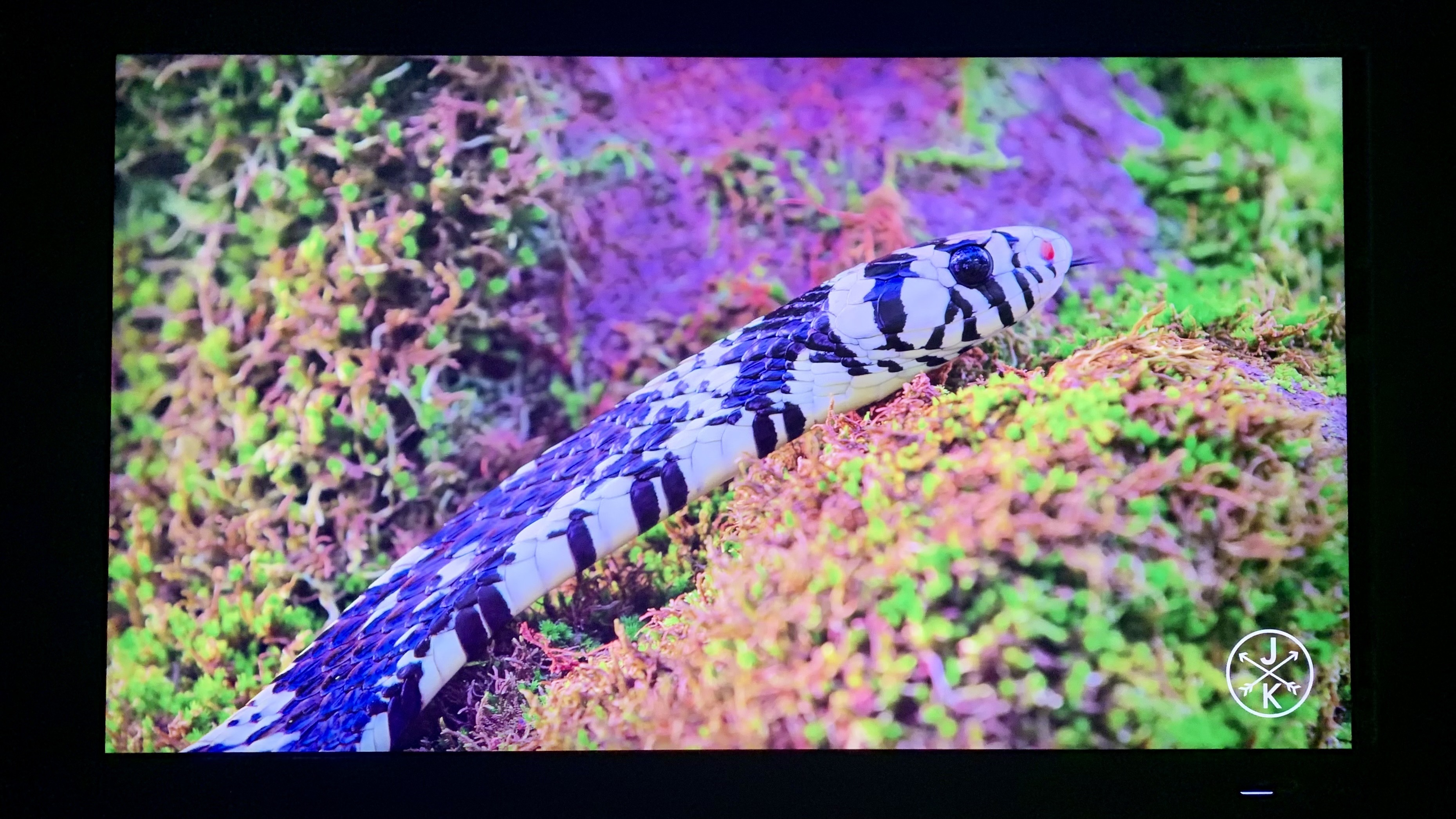 MSI Optix MPG321UR-QD in SDR mode