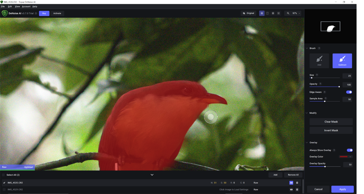 A photo of a bird shown in Topaz DeNoise AI, where the masking brush for selective local denoising appears in red over the bird