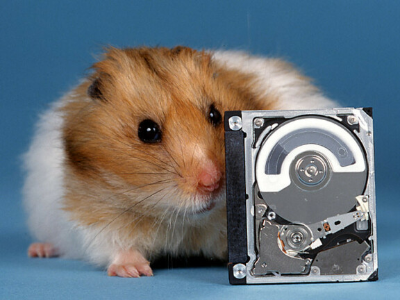 Hitachi Micro Hamster
