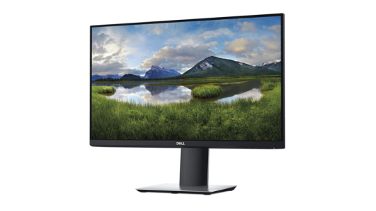 Dell 24 Monitor (P2419H)