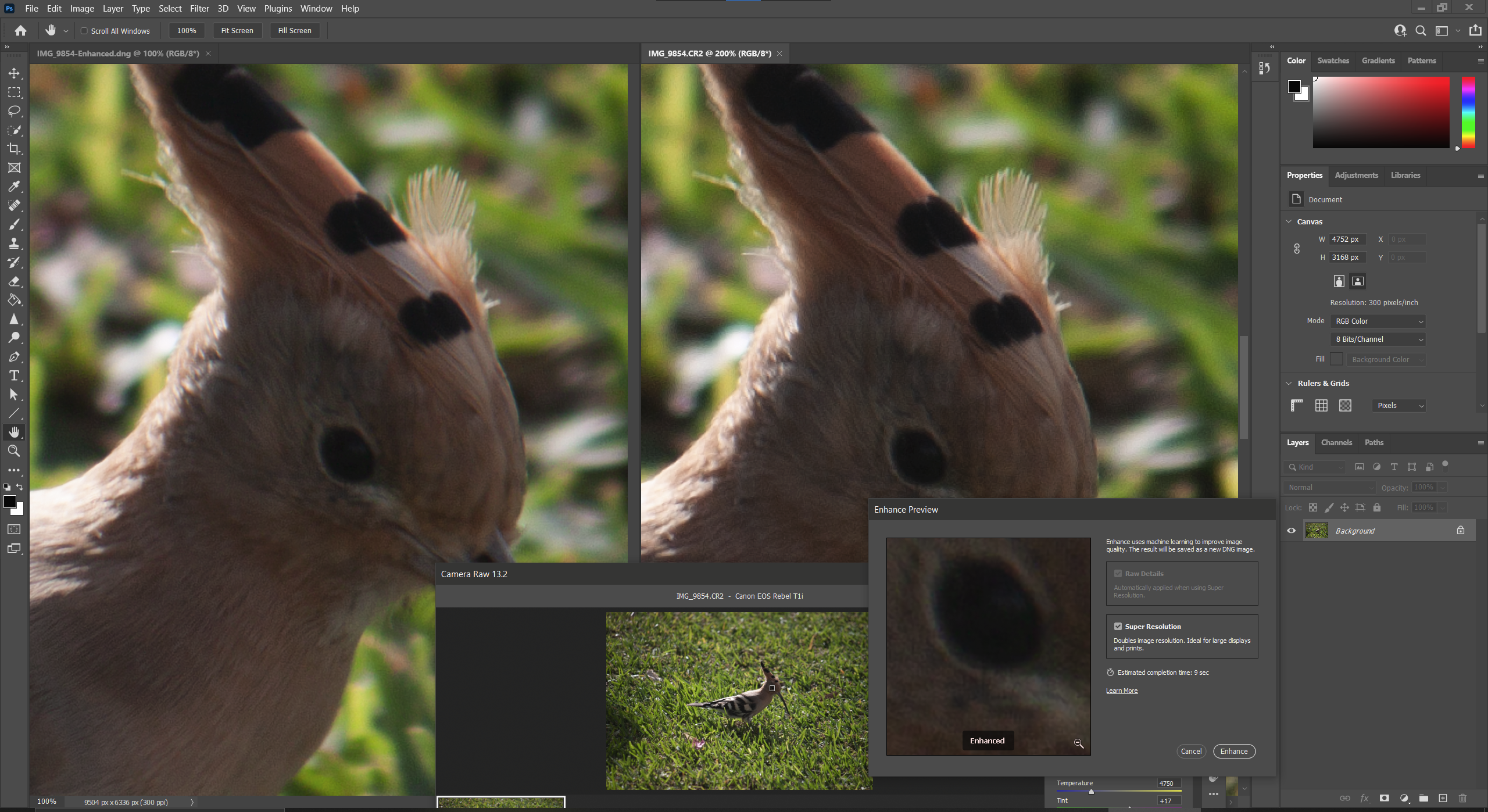 Super Resolution in Adobe Camera Raw