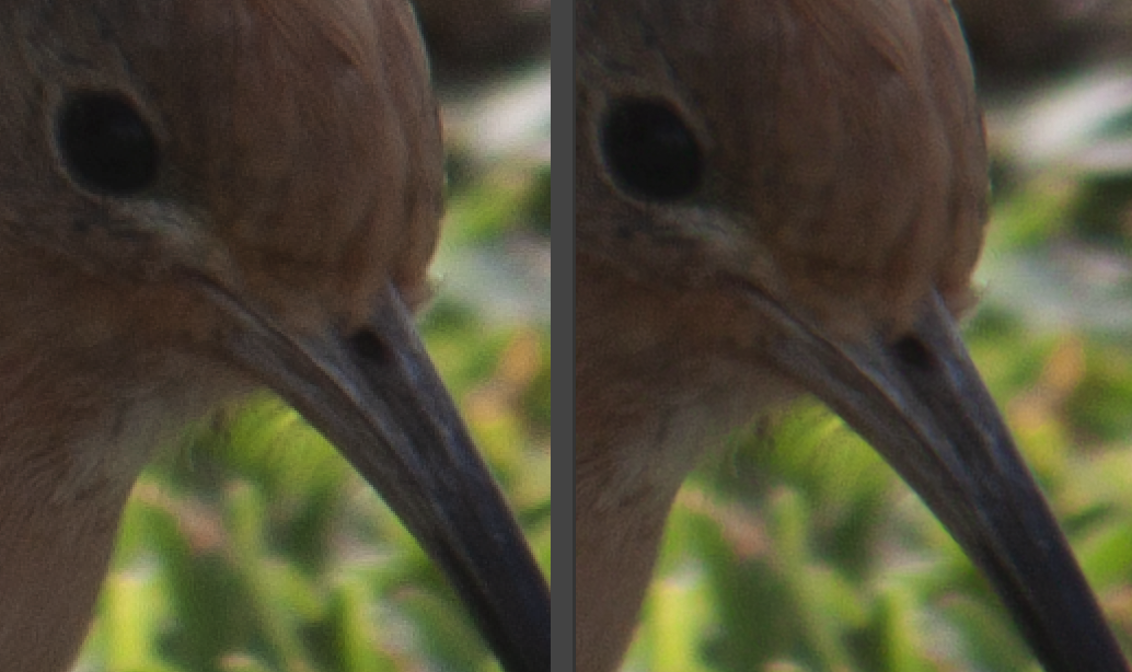 Super Resolution detail from Adobe Camera Raw in Photoshop