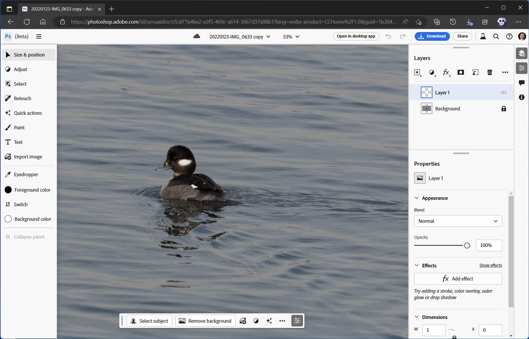 Adobe Photoshop on the Web (beta)