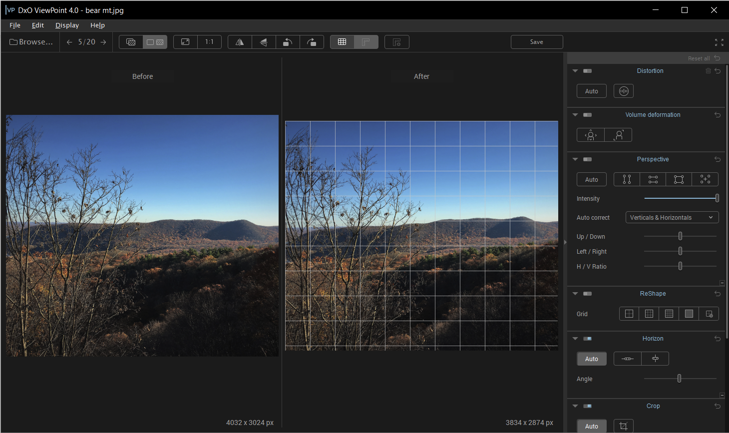 Horizon tool in DxO ViewPoint