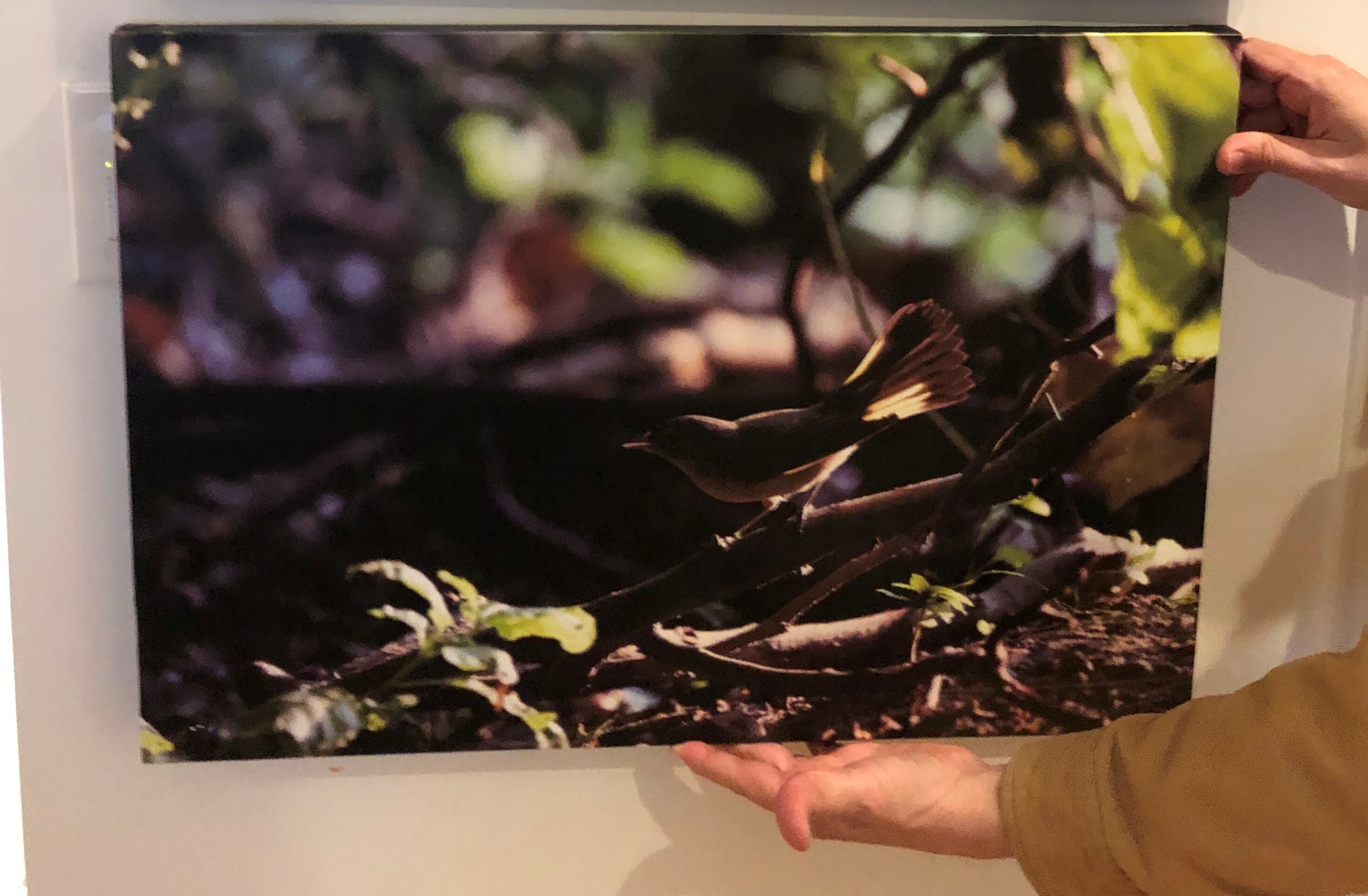 CanvasChamp print sample