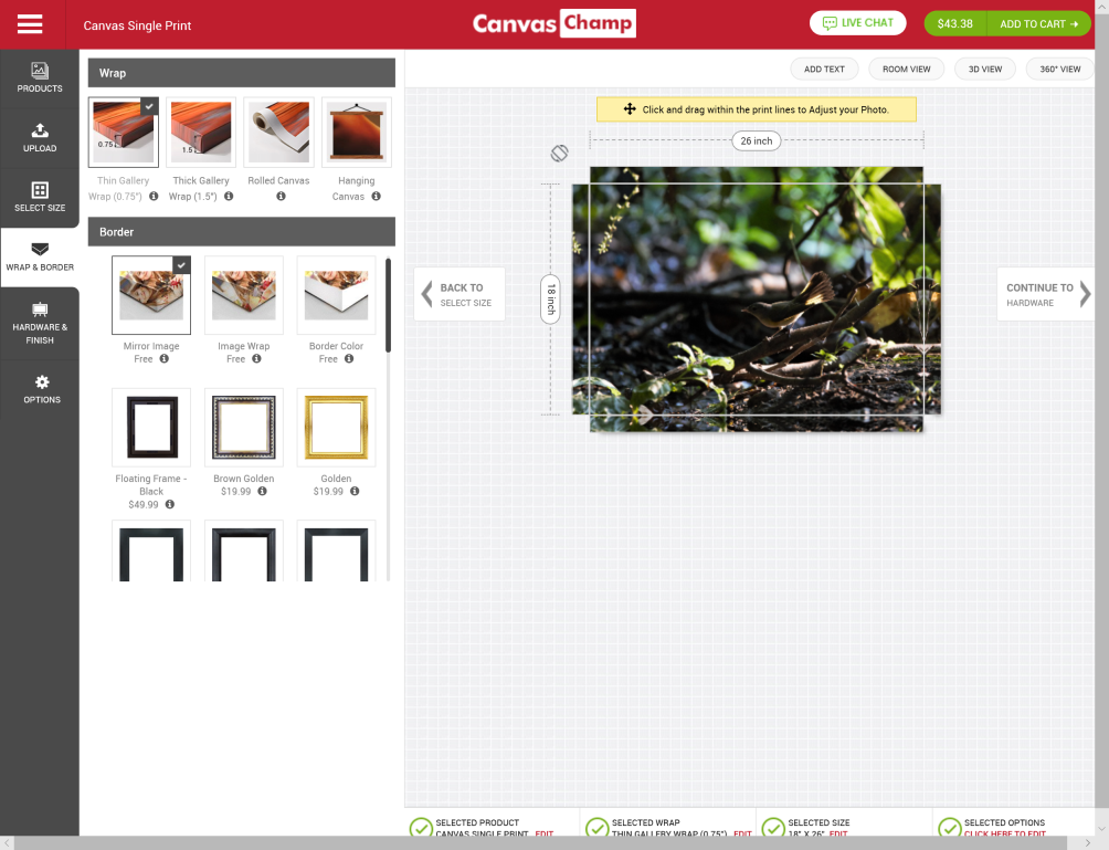 CanvasChamp interface