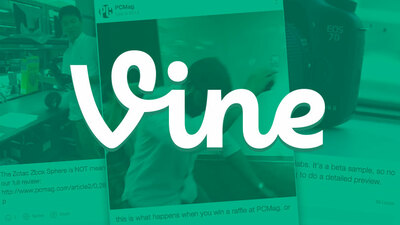 Vine Tips