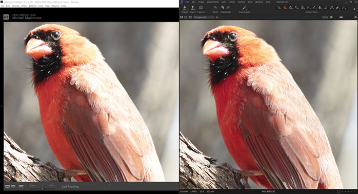 Raw import in Capture One vs. Lightroom