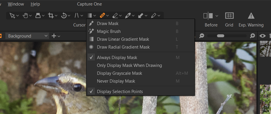 Toolbar buttons in Capture One