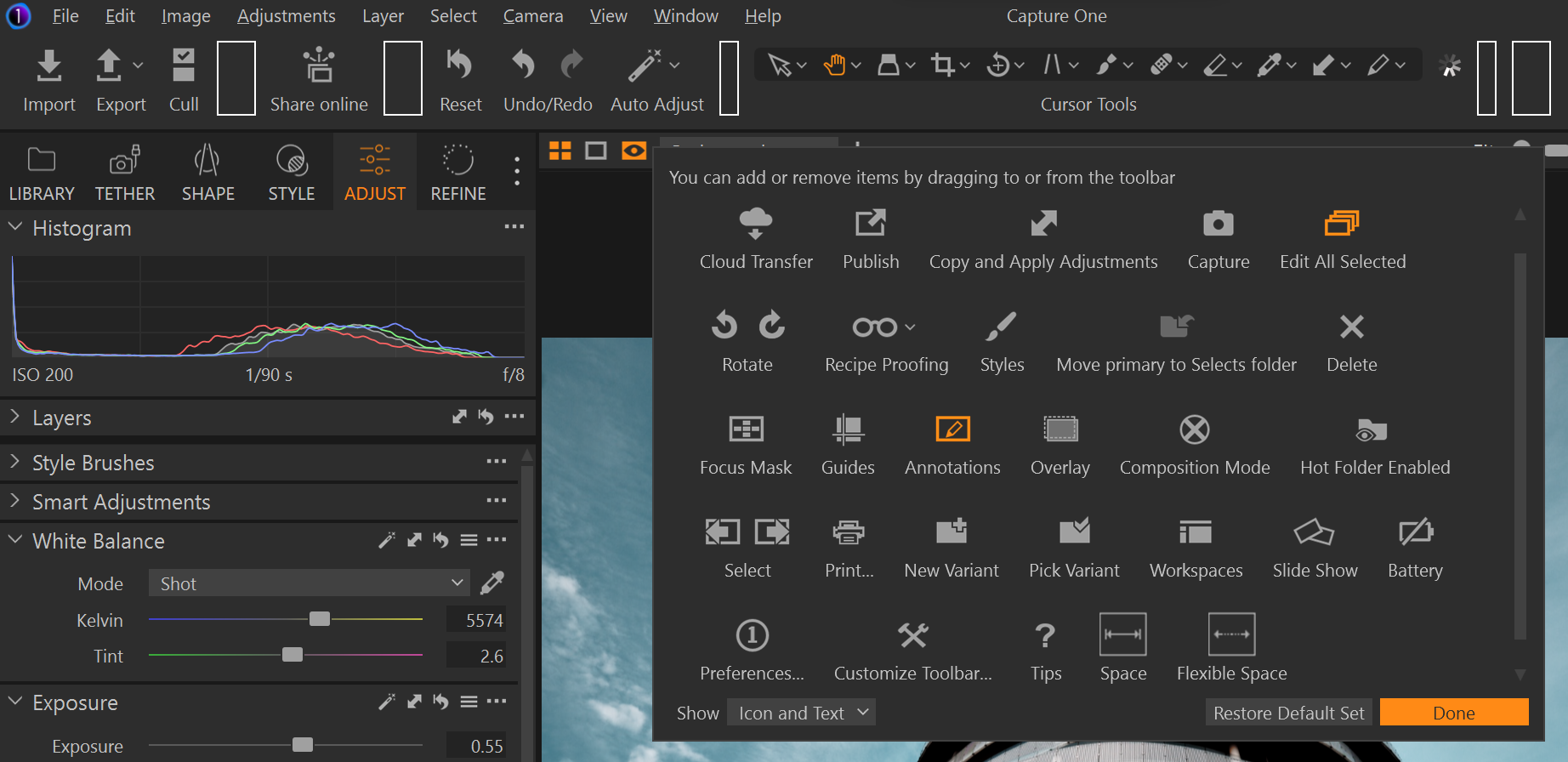 Button choices in Capture One Pro