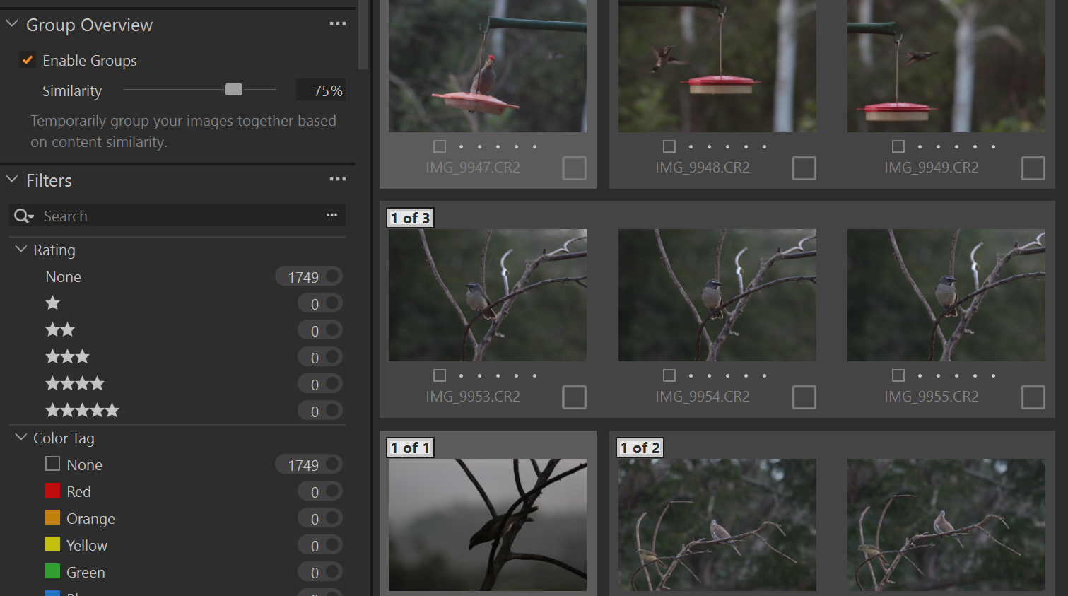 Auto-grouping simliar photos in Capture One Pro