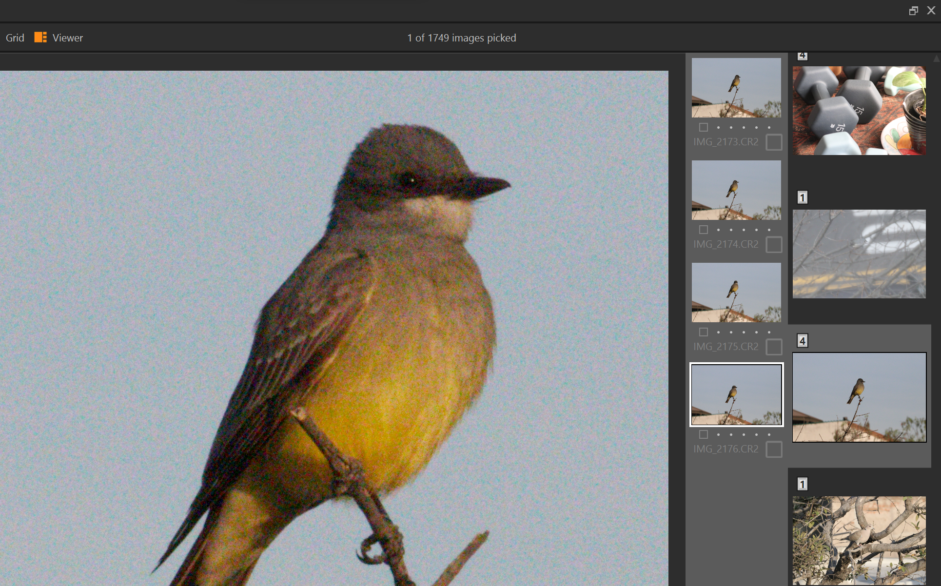Viewer view in auto-grouped photos in Capture One Pro