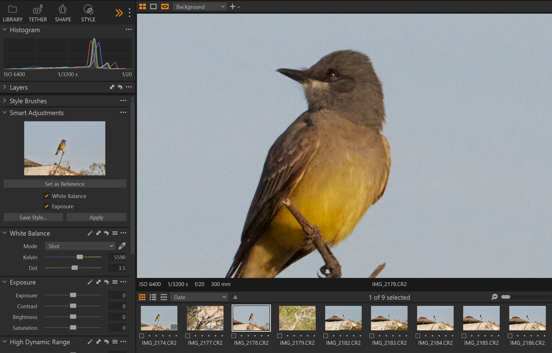 Smart Adjustments in Capture One Pro
