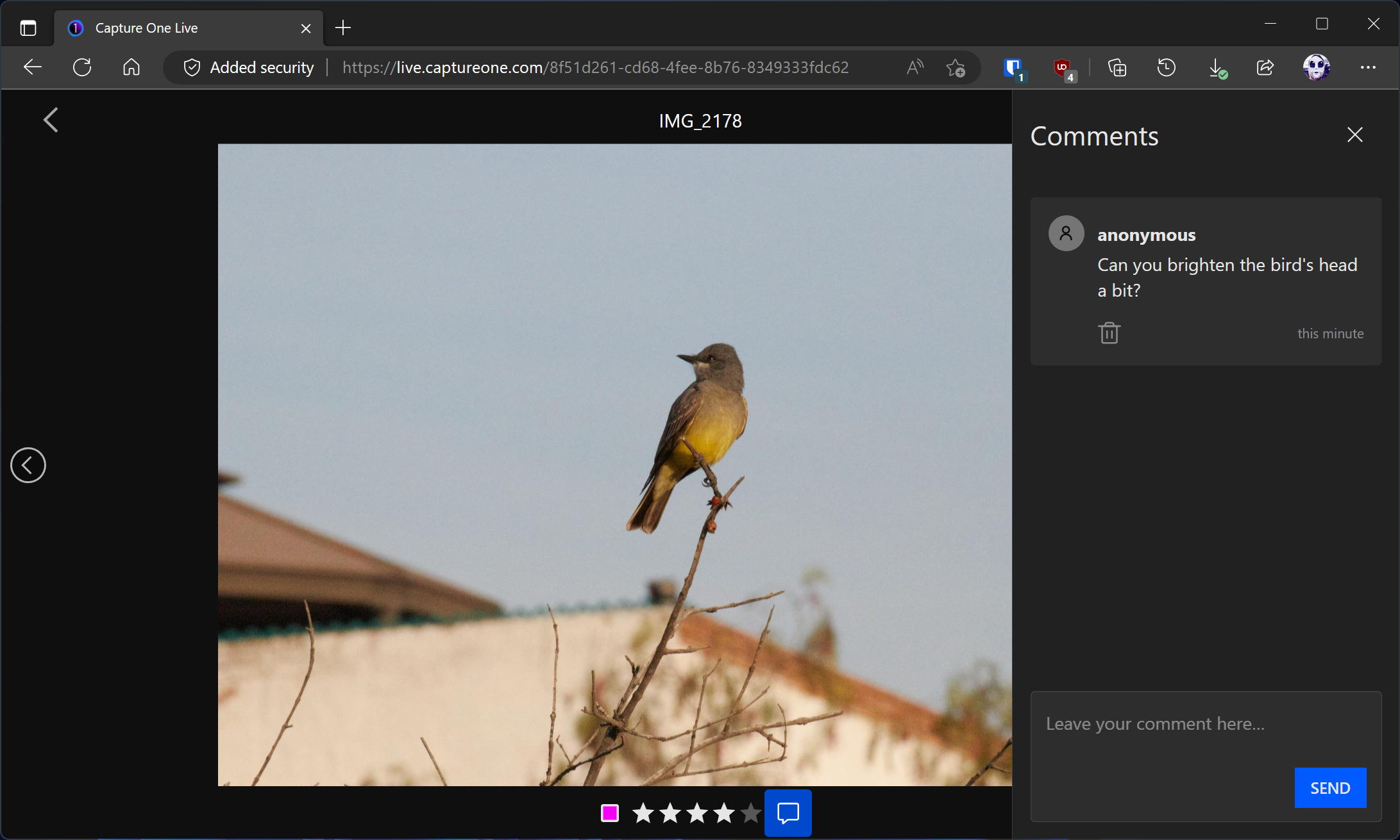 Capture One Live on the web