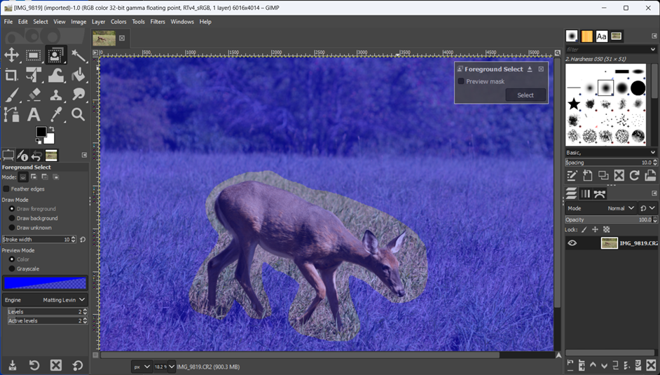 Foreground Select in GIMP