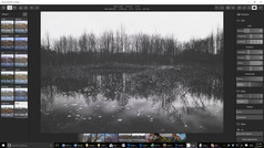 Polarr for Windows 10