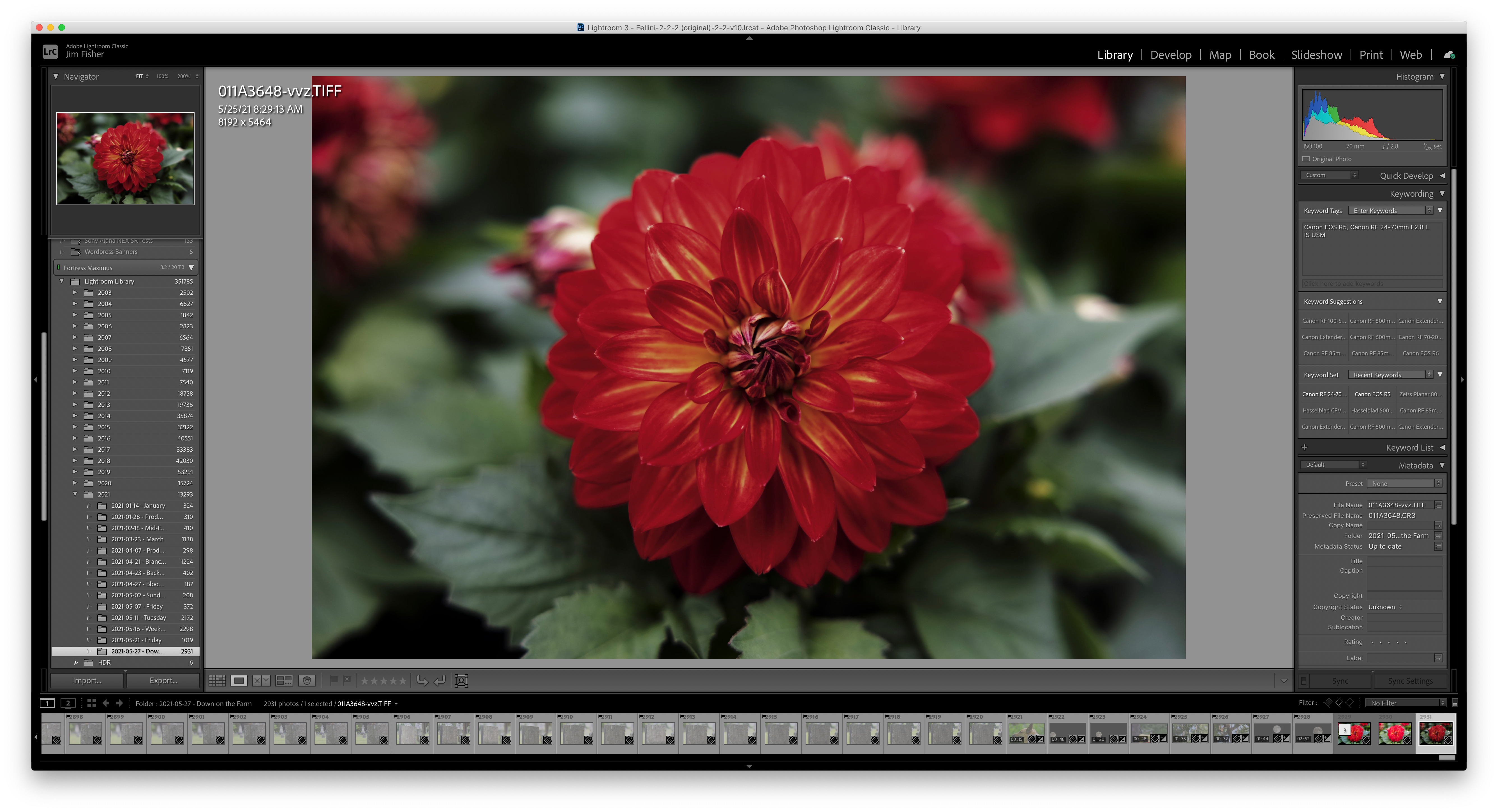 Adobe Photoshop Lightroom Classic interface