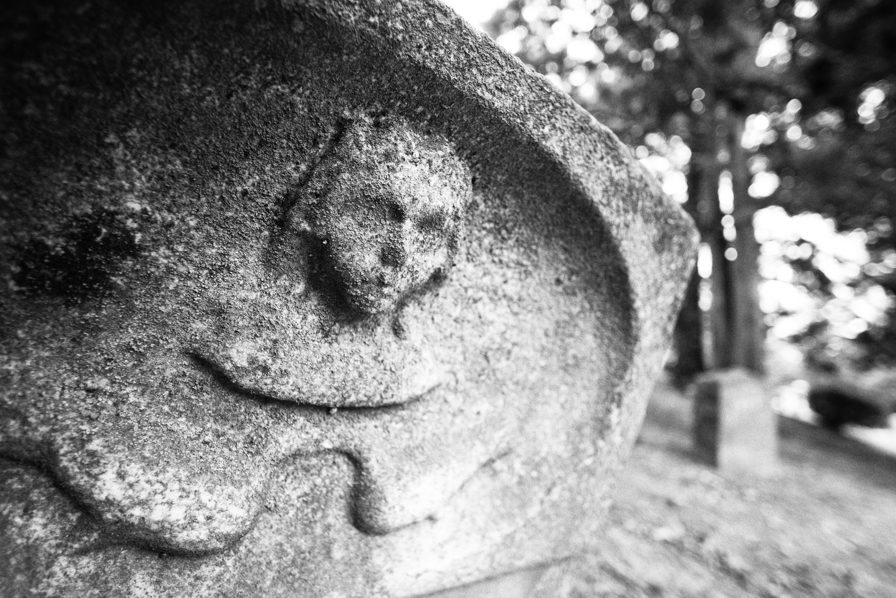 Headstone in black-and-white, edited in Silver Efex Pro