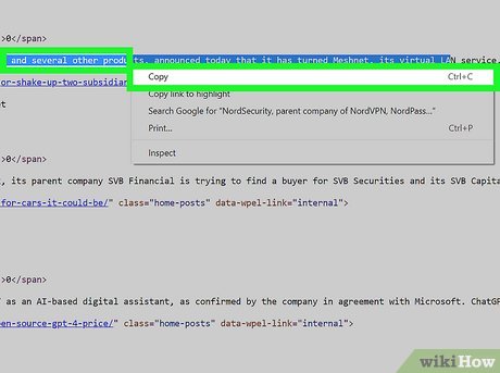 Image titled Copy Text That Cannot Be Copied Step 29