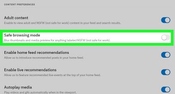 Enable NSFW Content on Reddit