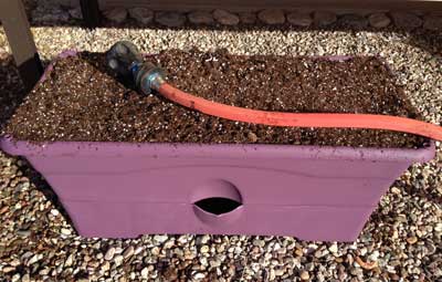 GrowBox full of potting mix