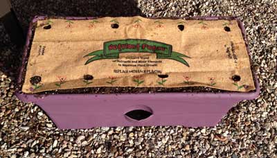 GrowBox with Nutrient Patch cover