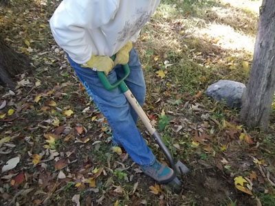 Proportional sizing makes digging, grasping, and lifting easier.