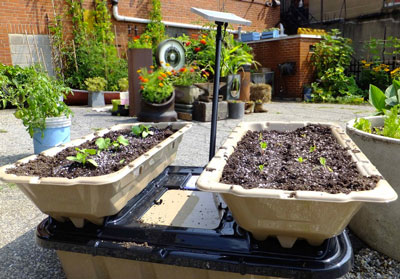 Planting in the SimGar