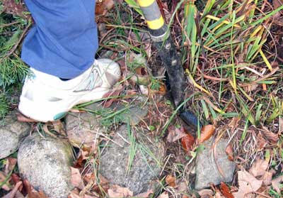 Spear Head Spade makes clean cuts