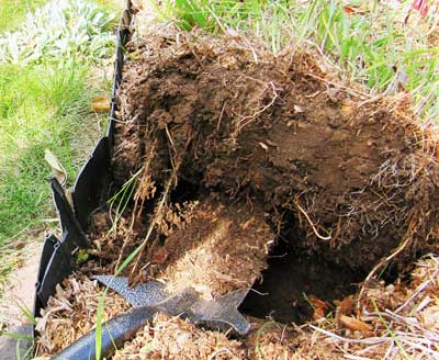 Easy to dig with Spear Head Spade