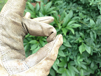 Very long fingers on StoneBreaker Gloves