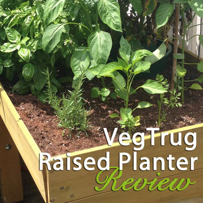 VegTrug Raised Planter