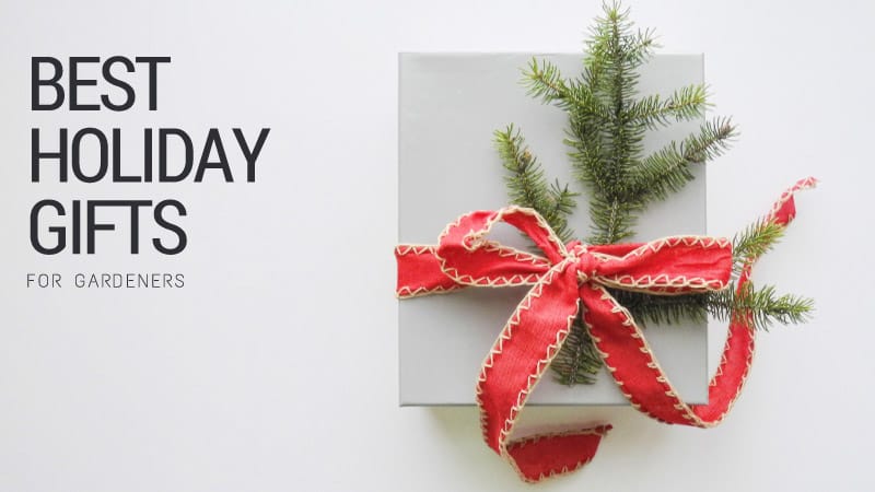 best holiday gifts for gardeners